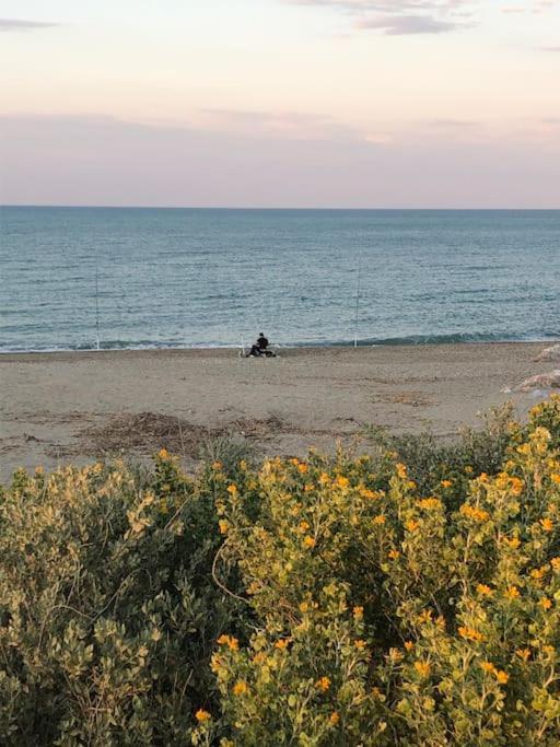 Logement Plage Saint-Cyprien  Exteriér fotografie