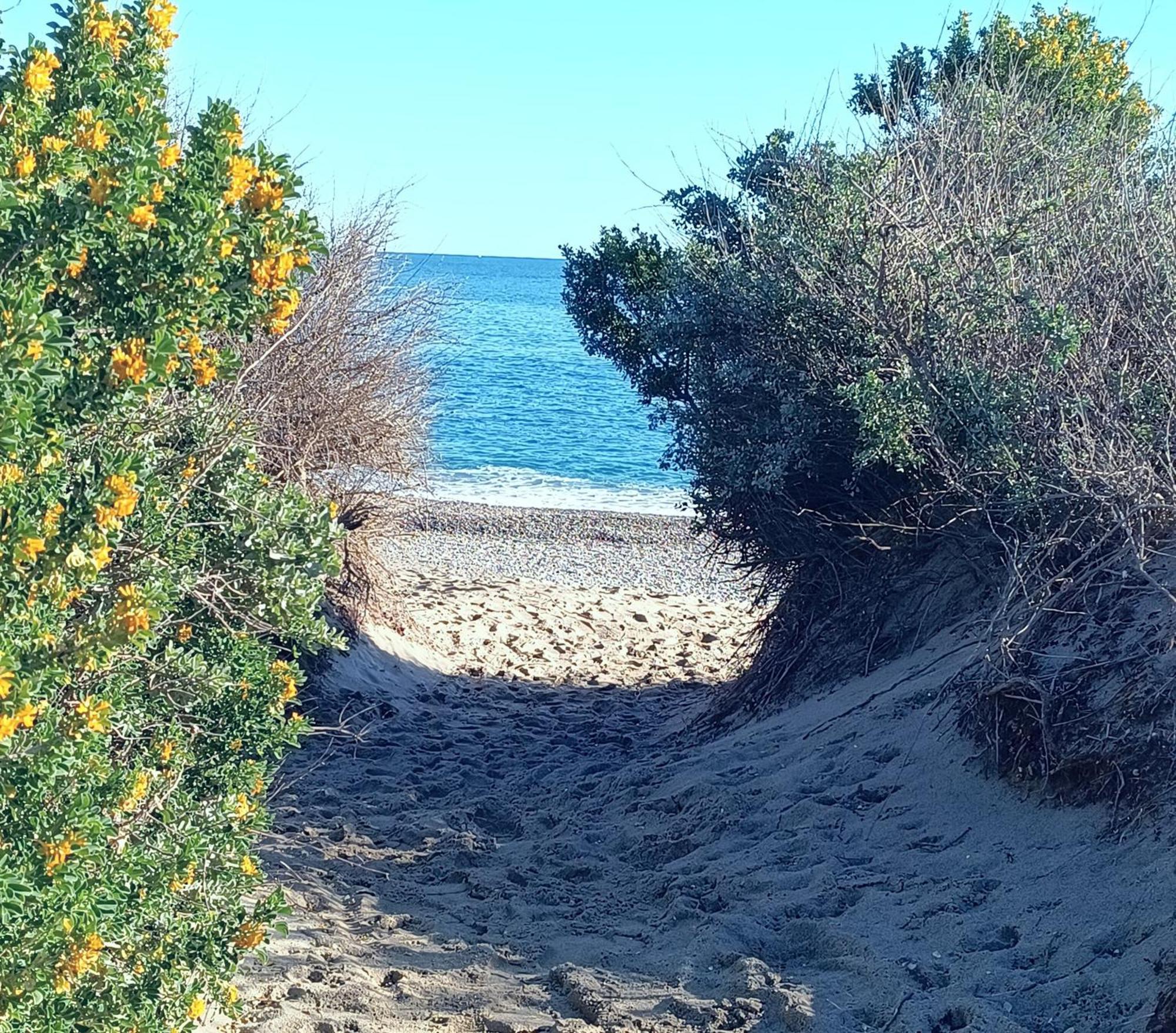 Logement Plage Saint-Cyprien  Exteriér fotografie